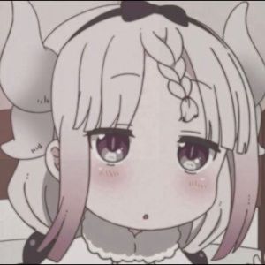 Meet your Posher, Luseea